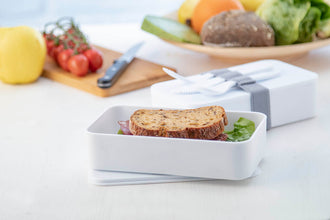 Ayam Antibacterial Lunch Box with custom printing - image 3