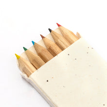 Sedox Pencil Set with custom printing - image 5