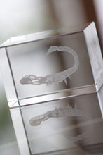 Macon Glass Block with custom printing - image 10