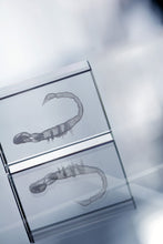 Macon Glass Block with custom printing - image 8
