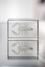 Macon Glass Block with custom printing - image 11